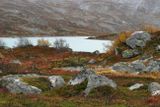 near Stryn,rainy Afternoon