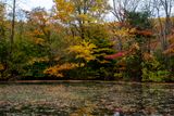 Fall colors Pennsylvania