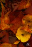 11052022001-WEB.jpg