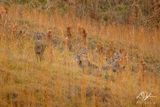 12212022001-WEB.jpg