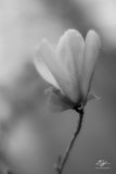 03012023001-WEB.jpg
