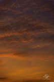 05122023001-WEB.jpg