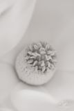 05142023001-WEB.jpg