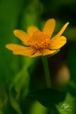 05252023001-WEB.jpg
