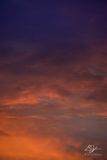 06062023001-WEB.jpg