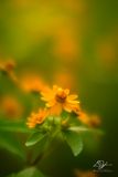 07242023002-WEB.jpg