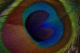 07252023003-WEB.jpg