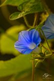 08052023001-WEB.jpg