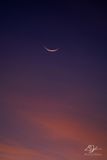 08132023001-WEB.jpg