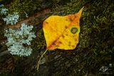 09232023001-WEB.jpg