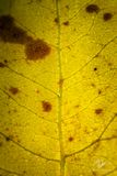 09282023001-WEB.jpg