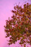 11232023001-WEB.jpg