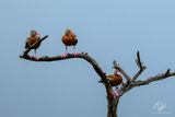 04292024005-WEB.jpg