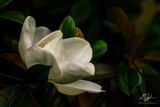 05252024002-WEB.jpg