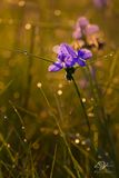 06102024001-WEB.jpg