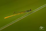 07182024001-WEB.jpg
