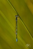 07302024001-WEB.jpg