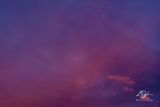 08312024001-WEB.jpg