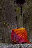 09052024001-WEB.jpg