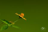 09252025001WEB.jpg