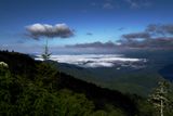IMG_7313.JPG
