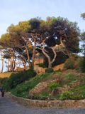 Tossa de Mar