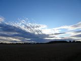DSC02220.JPG