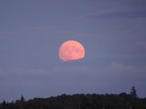 DSC02212.JPG