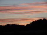 DSC02215.JPG