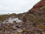 DSC02546.JPG