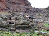 DSC02553.JPG