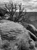 Canyonlands N.P.