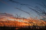 Sunset of 11-19-2023