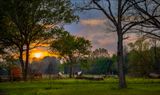 Horses & Sunset