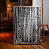 Aspens in Snow 24x36 