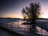 _IMG6151.jpg