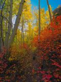 IMG_0312.jpeg
