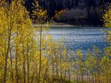 IMG_4972.jpeg