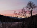 IMGP7931.jpg