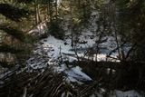 IMG_0345.jpeg