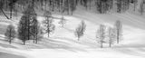 3576_77.jpg mono