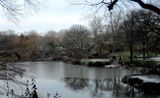 Central Park Pondjpg.jpg