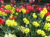 IMG_2721.jpg