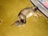 IMG_0713.jpg