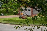 IMG_3110.jpg