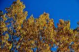 IMG_3410.jpg