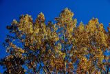 IMG_3411.jpg