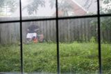 IMG_3111.jpg