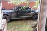 Tree trimmers       IMG_3467.jpg