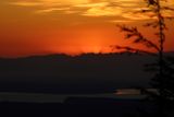 IMG_3860.jpg